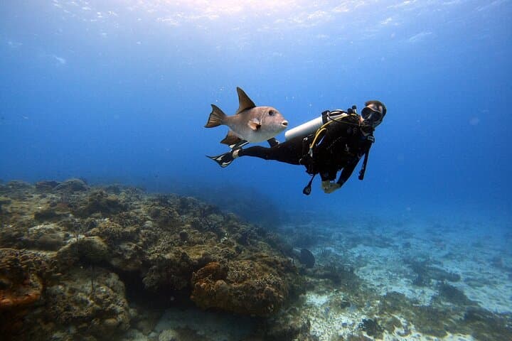 Discover Scuba Diving at Sunset Beach, Dubai — Intro Shore Dive Experience photo 2