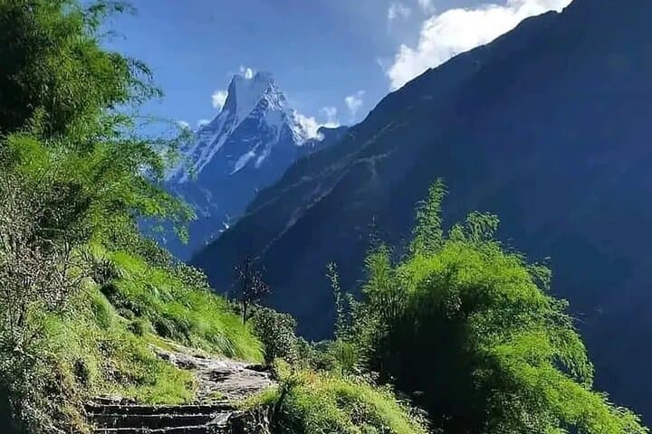 12-Day Private Annapurna Base Camp Trek From Pokhara — Complete Guide photo 2