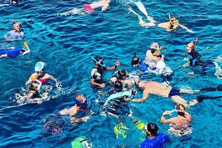 Muscat Snorkeling and Dolphin Watching: 3-Hour Marine Adventure photo 2