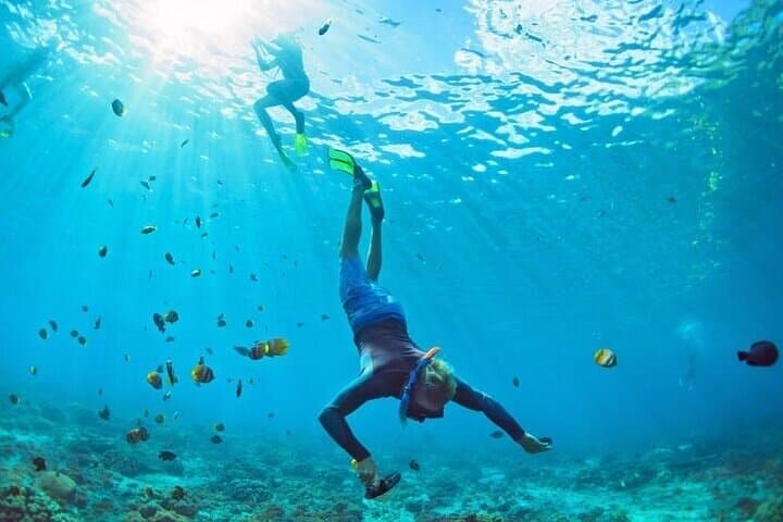 Muscat Snorkeling and Dolphin Watching: 3-Hour Marine Adventure