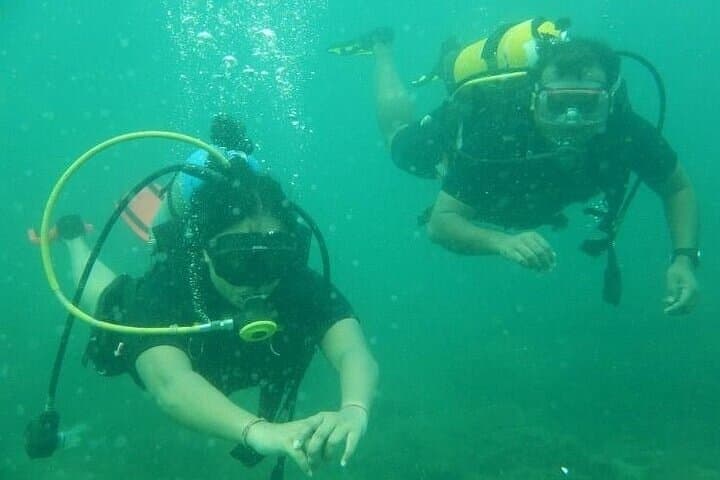 Muscat Snorkeling and Dolphin Watching: 3-Hour Marine Adventure photo 4