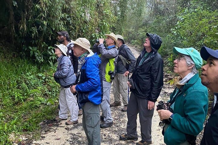 Sierra de Bahoruco Birdwatching: Guided Tour for Endemic and Migratory Species photo 4
