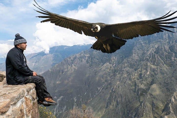 Full-Day Colca Canyon Tour from Arequipa: Condors, Terraces & Hot Springs photo 3