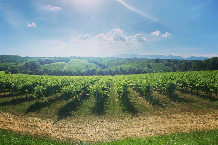 Prosecco Hills Wine Tour from Venice — Two-Winery Tasting & Scenic Viewpoints photo 3