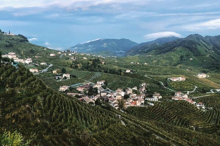 Prosecco Hills Wine Tour from Venice — Two-Winery Tasting & Scenic Viewpoints photo 4