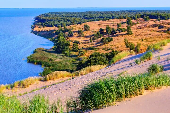 Klaipeda-to-curonian-spit-shore-excursion-dunes-hill-of-witches photo 3