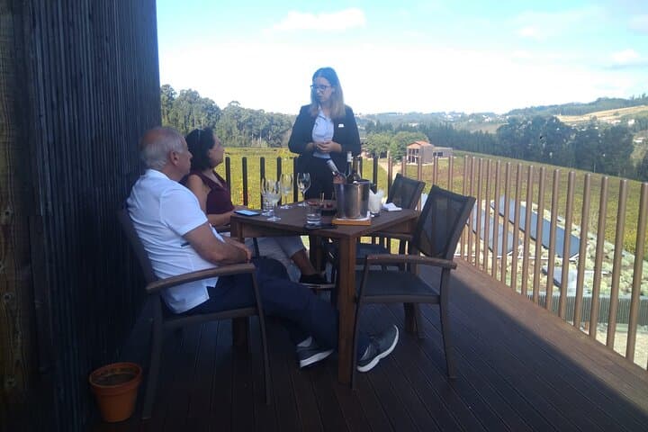 Private Vinho Verde Experience: Manor Tasting & Vineyard Insights near Braga photo 5