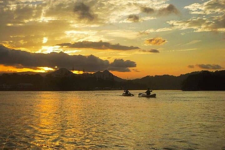 Sunrise Kayaking on the Brunswick River: Dawn Nature Paddle in NSW