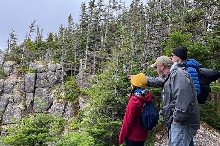 UTV Side-by-Side Trail Tour to Cape Clear Look-off, Cape Breton photo 4