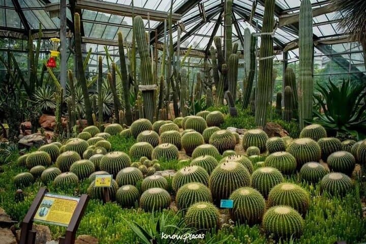 Guangzhou South China Botanical Garden Private Day Tour — Plants, Paths & Practical Tips photo 3