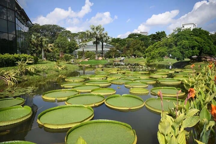Guangzhou South China Botanical Garden Private Day Tour — Plants, Paths & Practical Tips photo 2
