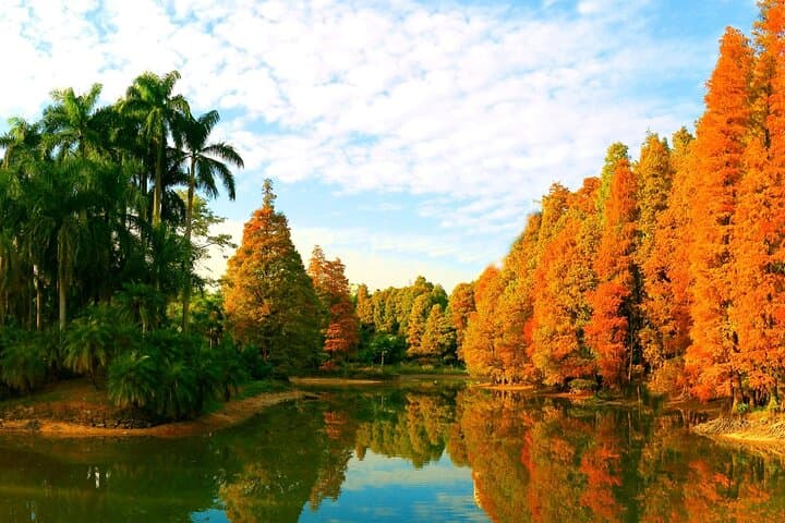 Guangzhou South China Botanical Garden Private Day Tour — Plants, Paths & Practical Tips