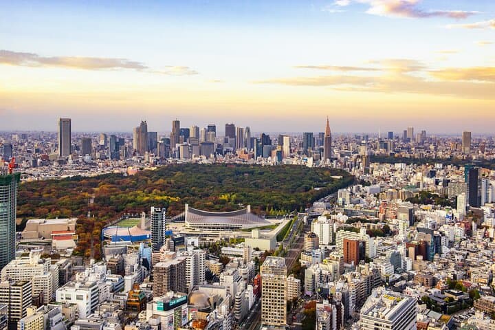 Tokyo in a Day: 8-Hour Private Tour from Yokohama with Licensed Guide