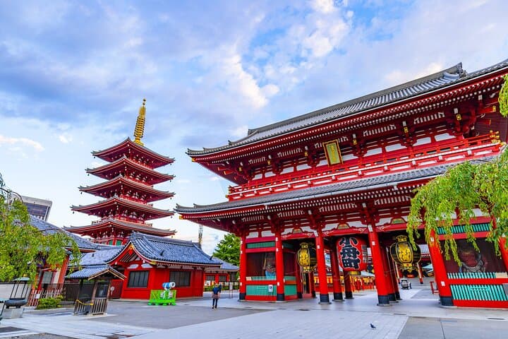Tokyo in a Day: 8-Hour Private Tour from Yokohama with Licensed Guide photo 2