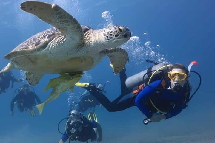Full-Day Marsa Mubarak Snorkel and Intro Scuba with Lunch — Marsa Alam