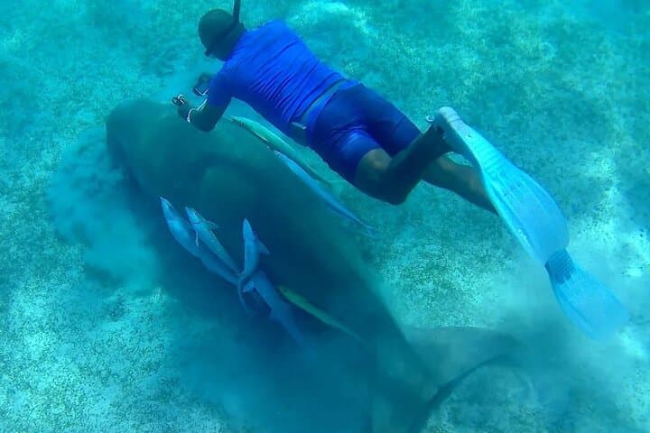 Full-Day Marsa Mubarak Snorkel and Intro Scuba with Lunch — Marsa Alam photo 2