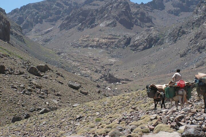 Two-Day Mt Toubkal Summit Trek from Marrakech photo 6
