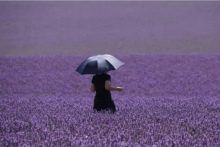 Lavender & Limestone: Full-Day Private Tour to Valensole Plateau and Gorges du Verdon