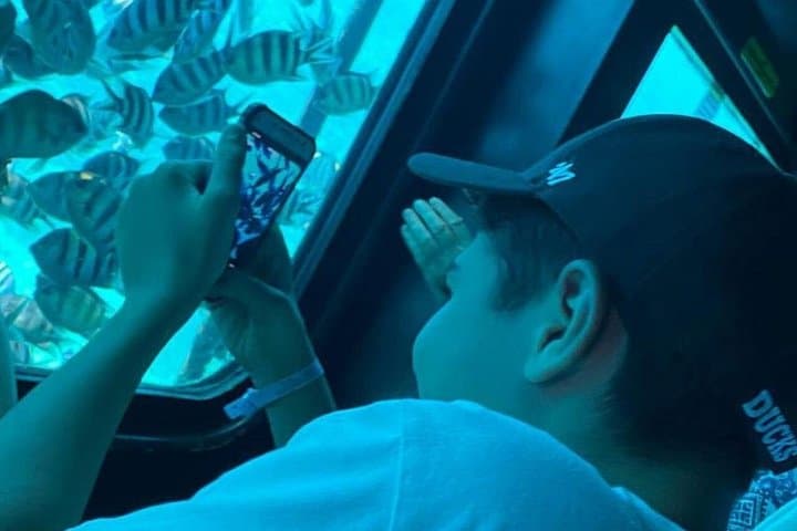 Nefertari Semi‑Submarine & Snorkel Cruise from Marsa Alam: Red Sea Coral, Snorkeling and Seafood photo 2