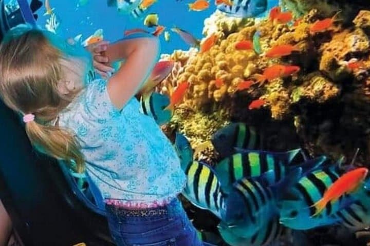 Royal SeaScope Semi-Submarine Marsa Alam — Red Sea Coral Viewing for Families photo 3