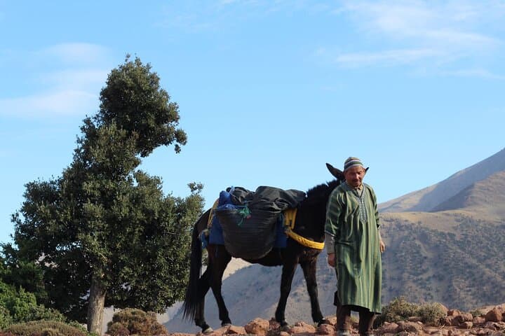 2-Day High Atlas Hiking Escape & Berber Homestay from Amizmiz photo 3