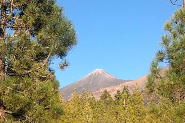 Ride Teide: 3-Hour Quad Adventure Through Teide National Park photo 4