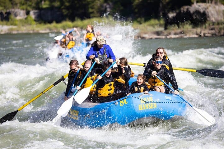 Snake River Rafting in Jackson Hole — 8-Mile Small-Boat Whitewater Adventure
