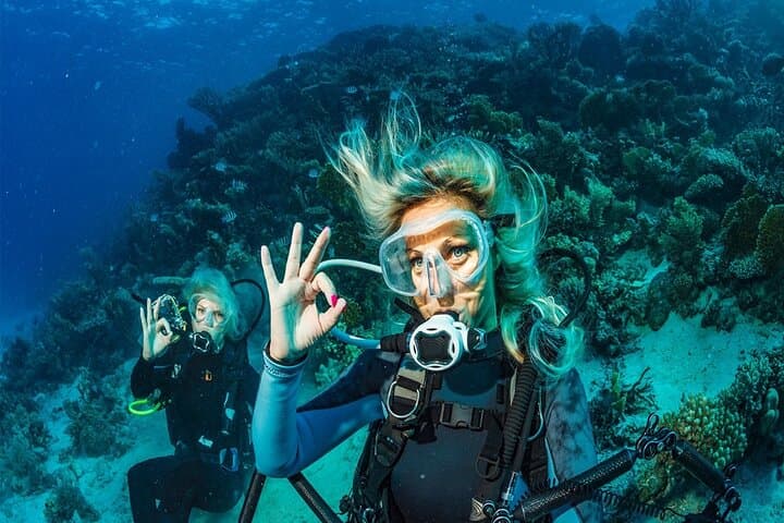 Belek Scuba Diving: 2-Dive Mediterranean Adventure with Lunch photo 6