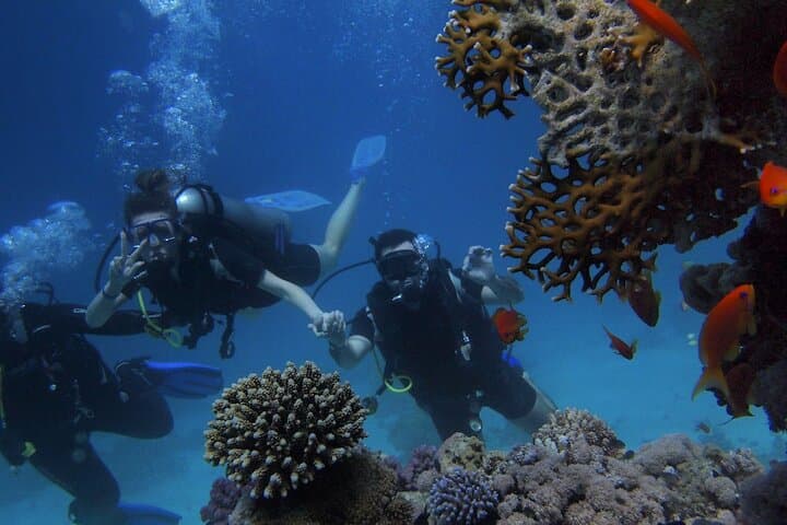 Belek Scuba Diving: 2-Dive Mediterranean Adventure with Lunch photo 2