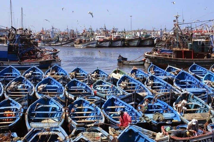 Essaouira Day Trip from Marrakech: Explore the Coastal Medina, Argan Oil & Seafood photo 2