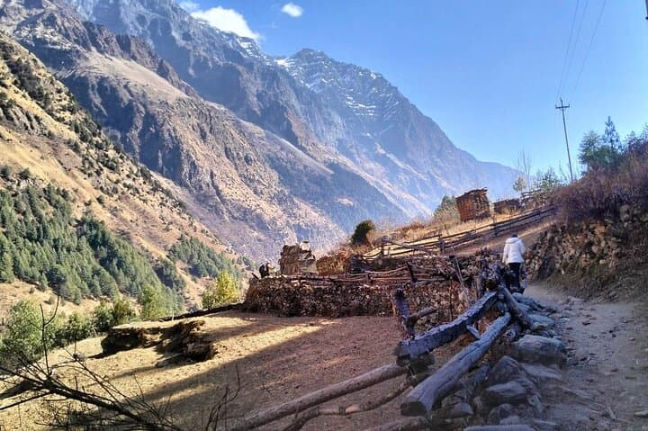 Manaslu Circuit Trek: 16-Day Private Larkya La Adventure from Kathmandu photo 5