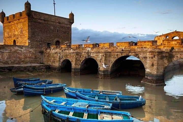 Essaouira Full-Day Trip from Marrakech — Argan Goats, Medina Markets & Atlantic Breezes photo 2