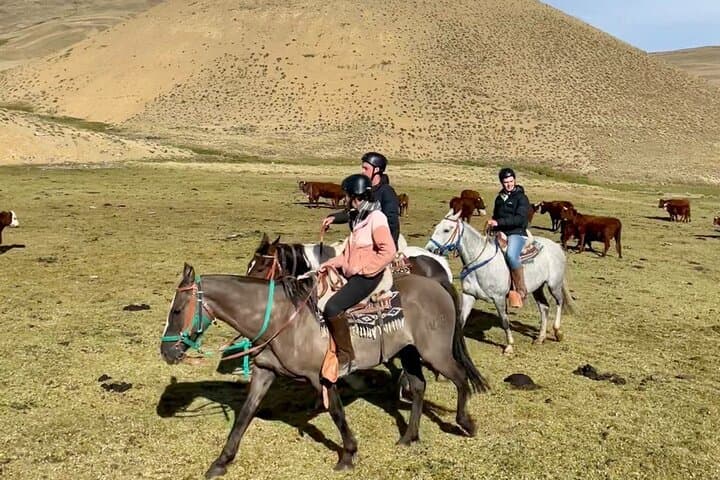 Two-Day Private Horseback Riding Through Patagonia’s Estancia 25 de Mayo photo 3