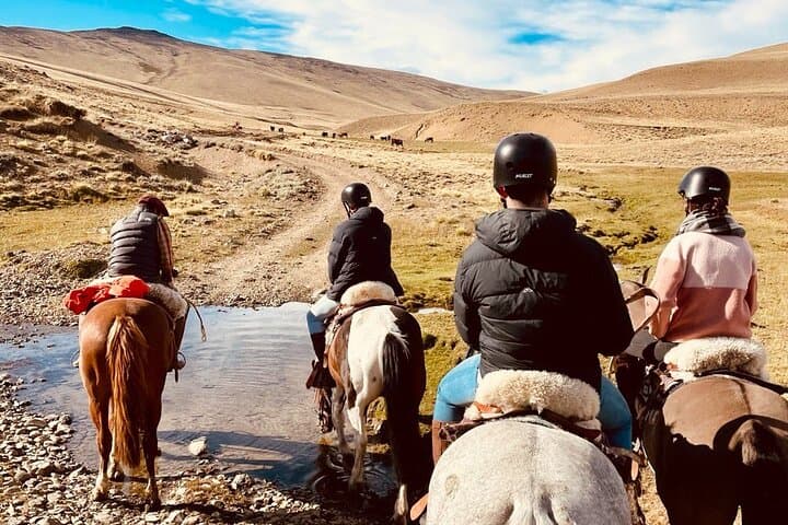 Two-Day Private Horseback Riding Through Patagonia’s Estancia 25 de Mayo photo 5