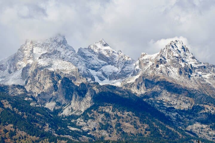Half-Day Grand Teton Scenic and Wildlife Tour from Jackson Hole