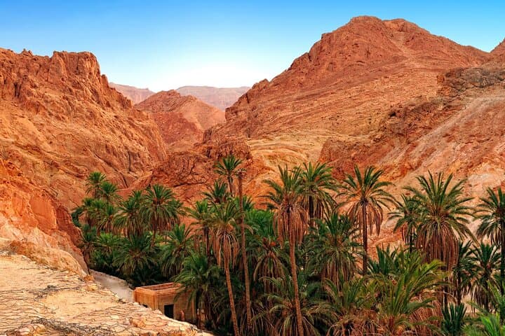 Half-Day Tozeur Canyons: Tamerza, Chebika & Mides Oasis Tour photo 5