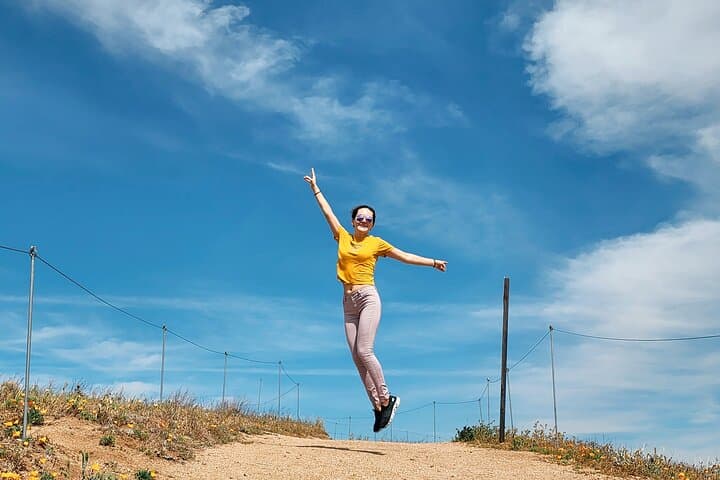 Hollywood Sign Hike: Panoramic Views of LA, Film Studios & Griffith Park