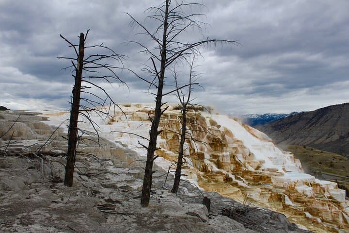 Two-Day Yellowstone Upper and Lower Loop: Geysers, Wildlife & Hot Springs photo 6