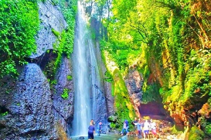 Bogor Botanical Gardens, Cinangka Waterfall & Sundanese Food Day Tour from Jakarta