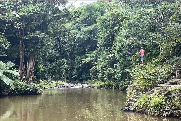 Private Half-Day El Yunque Rainforest Tour — Yokahu Tower, Waterfalls & Short Hike photo 2