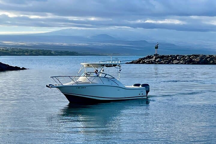 Private Custom Charter from Kawaihae Harbor — Dolphin, Turtle & Whale-Watching Cruise