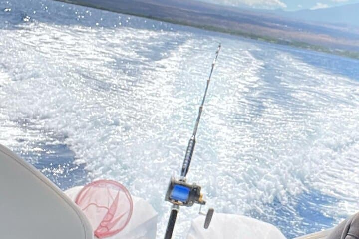 Private Custom Charter from Kawaihae Harbor — Dolphin, Turtle & Whale-Watching Cruise photo 4