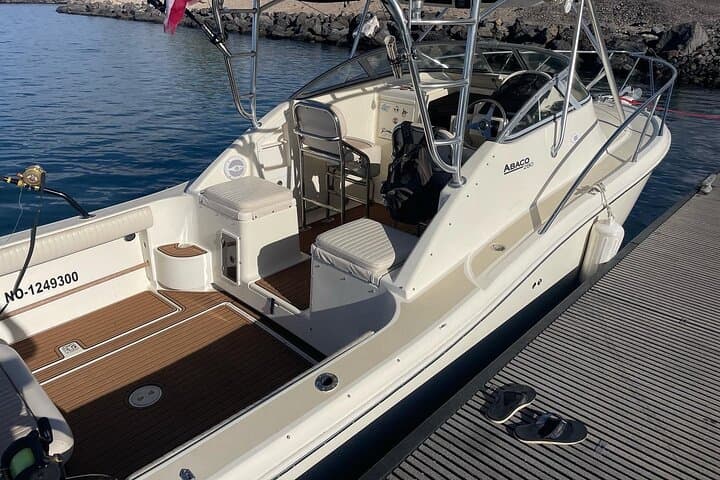 Private Custom Charter from Kawaihae Harbor — Dolphin, Turtle & Whale-Watching Cruise photo 2