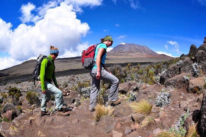5-Day Marangu Route Kilimanjaro Trek: Summit Uhuru Peak from Moshi photo 6