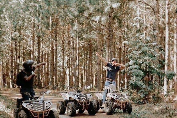 Tsitsikamma Quad Bike Tour at Misty Mountain Reserve — 16km Guided Adventure