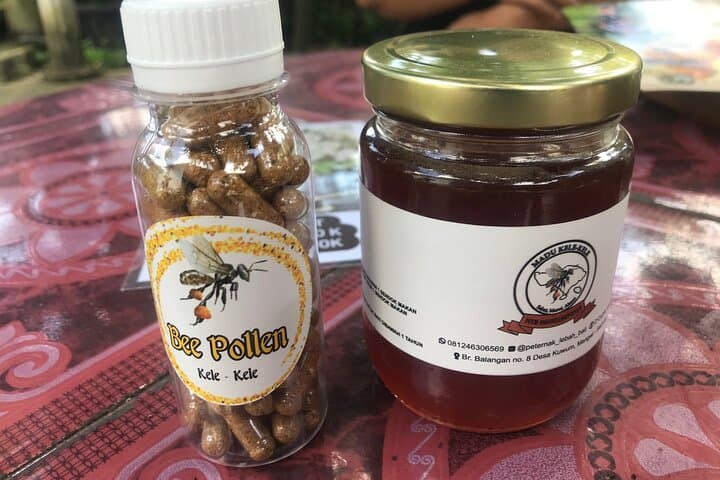 Ubud Stingless Bee Honey Farm & Beekeeping Tour — Taste Bali's Wild Honey photo 3