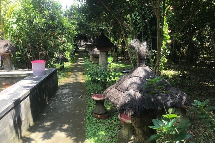 Ubud Stingless Bee Honey Farm & Beekeeping Tour — Taste Bali's Wild Honey photo 4