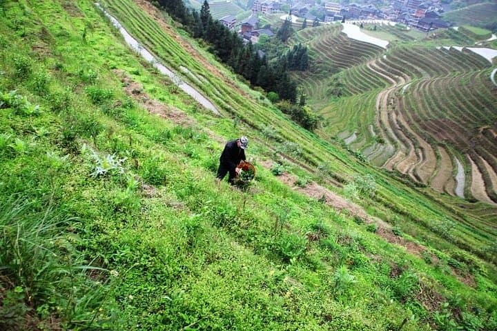 Longji Rice Terraces Day Tour from Guilin — Ping'an & Huangluo Yao Village photo 4