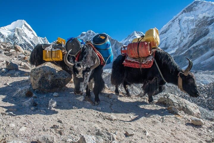 14-Day-Private-Everest-Base-Camp-Trek-from-Kathmandu photo 4