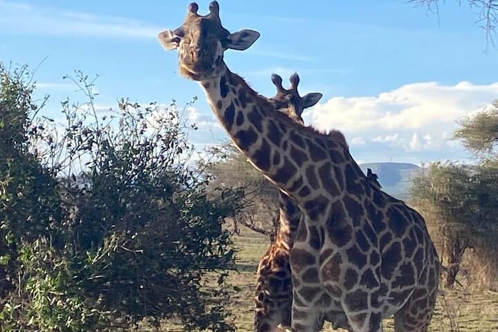 6-Day Camping Safari Through Tarangire, Serengeti & Ngorongoro photo 4